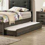 Roanne Trundle - Gray