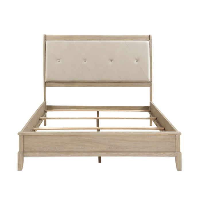 Cotterill Bed