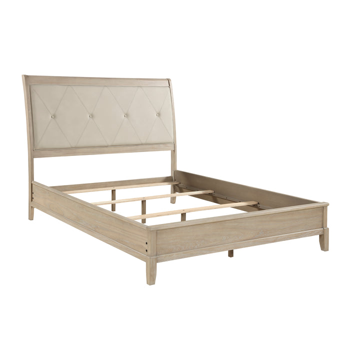 Cotterill Bed