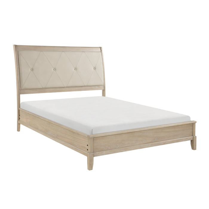 Cotterill Bed