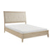 Cotterill Bed