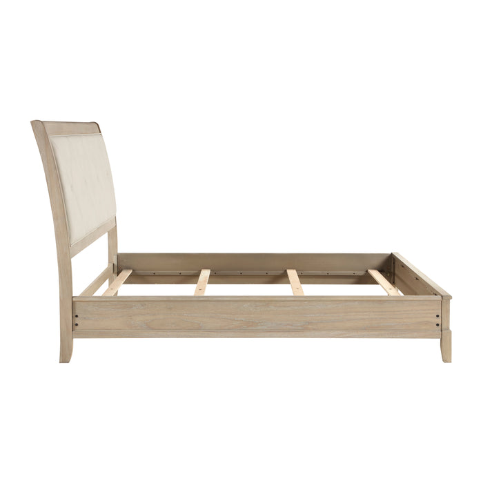 Cotterill Bed