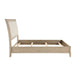 Cotterill Bed