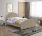 Brody Velvet Upholstered Bed