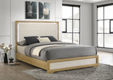 Cama con panel LED Queen Hyland Wood, natural y blanca