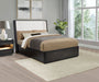 Leandro 55-inch Wingback Bed Burnished Black