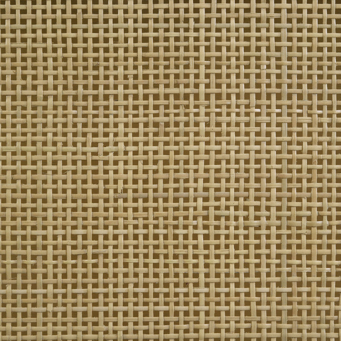 Arini Rattan Panel Bed Black and Natural