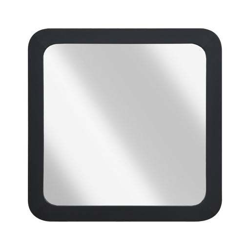 Cuero Mirror