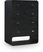 Parker Ash Veneer Chest