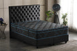 Merlot Blue Plush