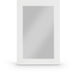 Monad 24" W X 36" H Birch Veneer Frame Mirror