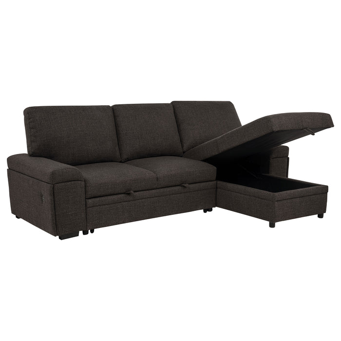 Demko Sleeper Sectional Sofa with Speaker and Storage Chaise Brown