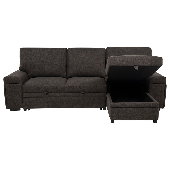 Demko Sleeper Sectional Sofa with Speaker and Storage Chaise Brown
