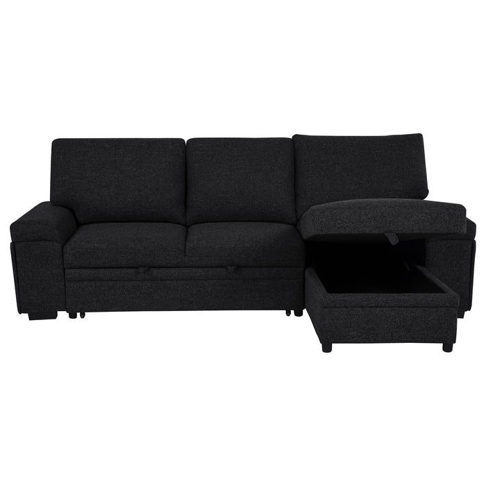 Demko Sleeper Sectional Sofa with Speaker and Storage Chaise Black