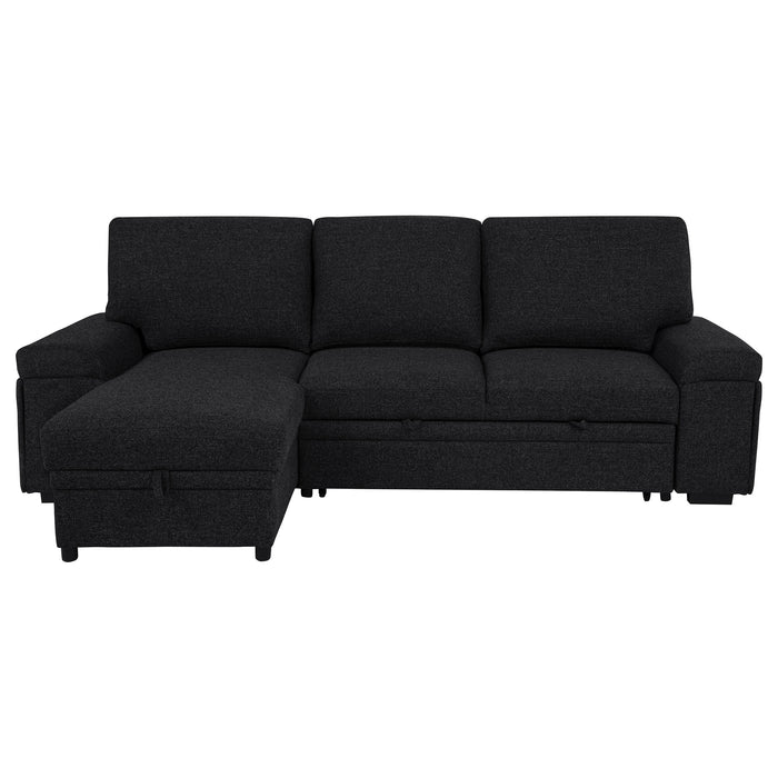 Demko Sleeper Sectional Sofa with Speaker and Storage Chaise Black