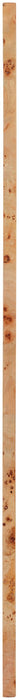 Cresthill 36" W X 48" H Burl Wood Frame Mirror