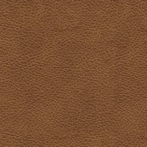 Carianna Sofa - Brown/Beige