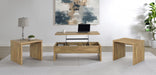 Canoga 3-piece Lift Top Cocktail Coffee Table Set Mango