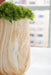 Cammen Vase - image 3