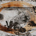 Clefting Wall Art - Black/Gray;Brown/Beige