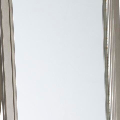 Evesen Floor Standing Mirror with Storage - Metallic