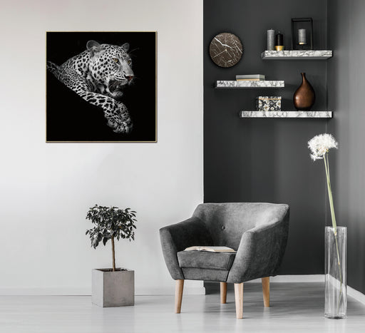 Oppidan Home Framed Leopard in Black and White Acrylic Wall Art (48H X 48W)