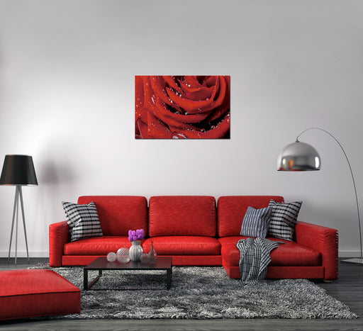 Oppidan Home Red Rose with Water Droplets (32H x 48W)