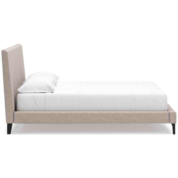 Cielden Upholstered Bed with Roll Slats