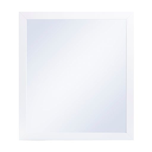 Galen Mirror, Wide