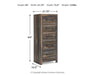 Drystan Narrow Chest - image 4