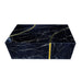 Timeless Modern Design Black Coffee Table with Gold Accent
