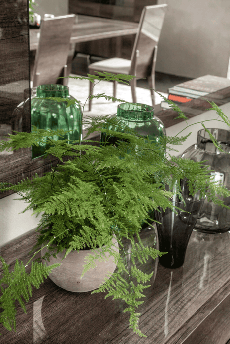 Medea Dining Room