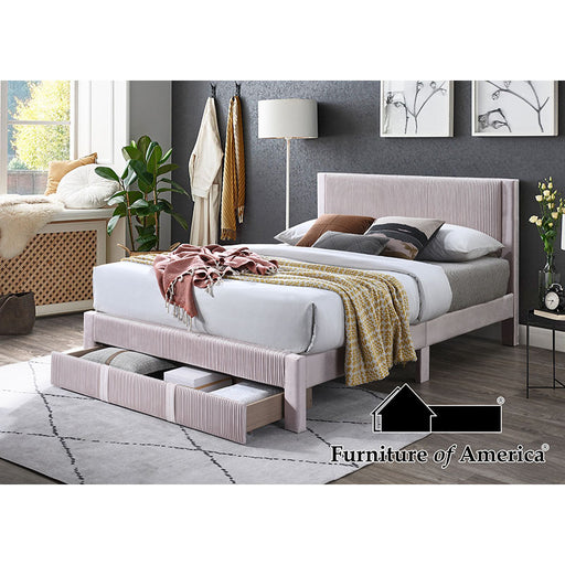 Bed Bed - Pink