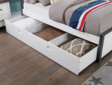 Priam Trundle/drawers - White/Gray
