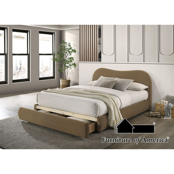 Grimsby Bed - Queen / Brown