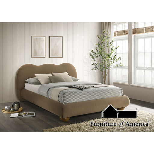 Finamore Bed - King / Brown