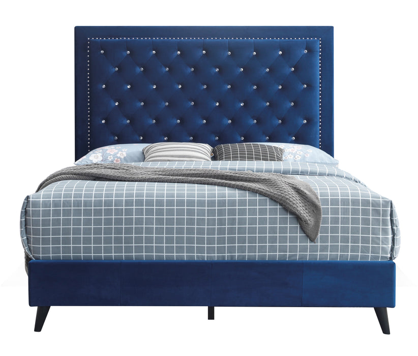 Glory Furniture Alba G0609-UP BED Navy Blue