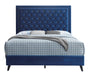 Glory Furniture Alba G0609-UP BED Navy Blue