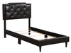 Glory Furniture Deb G1116-UP Bed -All in One Box Cappuccino