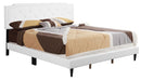 Glory Furniture Deb G1118-UP Bed All in One Box White 