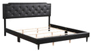 Glory Furniture Deb G1119-UP Bed -All in One Box Black