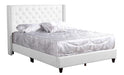 Glory Furniture Julie G1918-UP UpholsteRed Bed White 