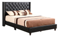 Glory Furniture Julie G1919-UP UpholsteRed Bed Black 