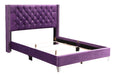 Glory Furniture Julie G1921-UP  UpholsteRed Bed Purple