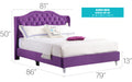 Glory Furniture Joy G1932-UP UpholsteRed Bed Purple 