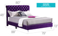 Glory Furniture Maxx G1941-UP Tufted UpholsteRed Bed Purple 