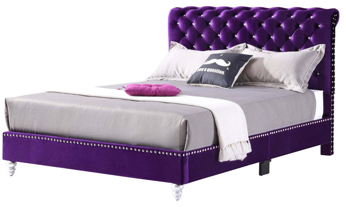 Glory Furniture Maxx G1941-UP Tufted UpholsteRed Bed Purple 