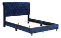 Glory Furniture Maxx G1943-UP Tufted UpholsteRed Bed Navy Blue