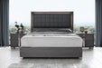 Giulia Bed in Matte Gray 