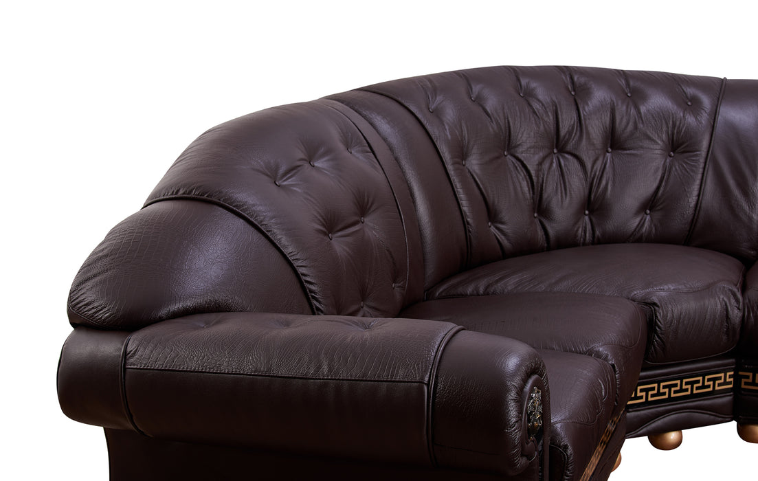 Apolo Sectional Right Brown